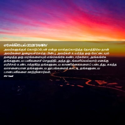 Picture 02 - எசேக்கியேல் 20:28 TAMIRV - அவர்களுக்குக் - Bible Verse Picture
