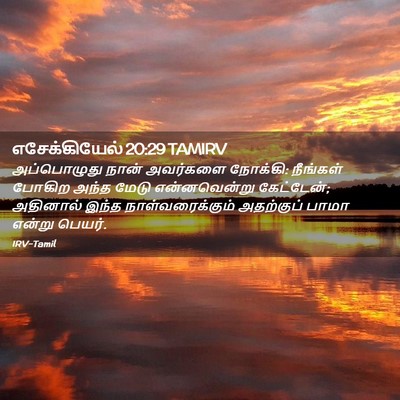 Picture 02 - எசேக்கியேல் 20:29 TAMIRV - அப்பொழுது நான் - Bible Verse Picture