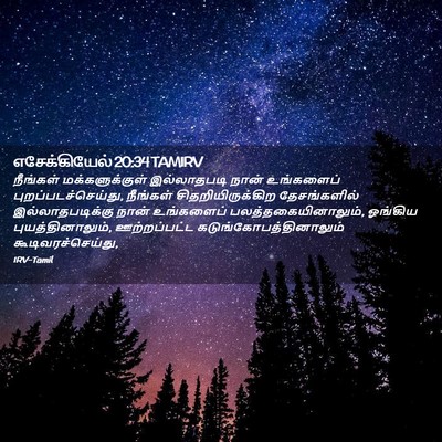 Picture 02 - எசேக்கியேல் 20:34 TAMIRV - நீங்கள் - Bible Verse Picture