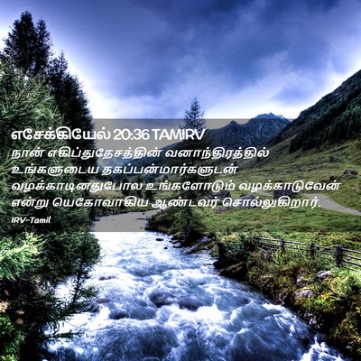 Picture 02 - எசேக்கியேல் 20:36 TAMIRV - நான் - Bible Verse Picture