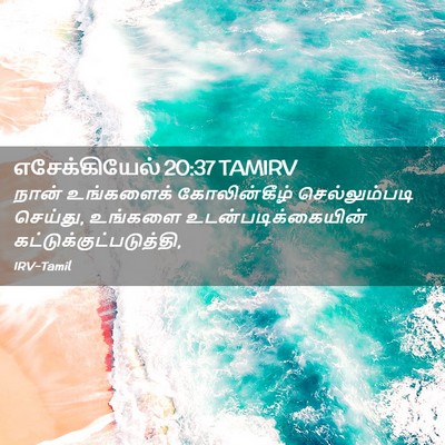 Picture 02 - எசேக்கியேல் 20:37 TAMIRV - நான் உங்களைக் - Bible Verse Picture
