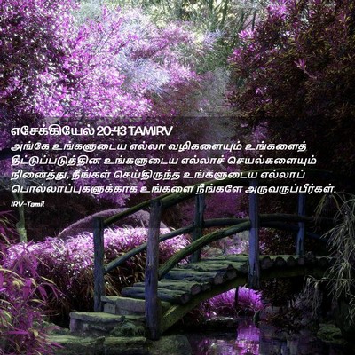 Picture 02 - எசேக்கியேல் 20:43 TAMIRV - அங்கே உங்களுடைய - Bible Verse Picture