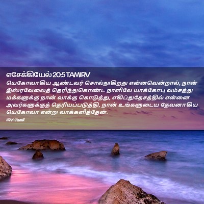 Picture 02 - எசேக்கியேல் 20:5 TAMIRV - யெகோவாகிய ஆண்டவர் - Bible Verse Picture