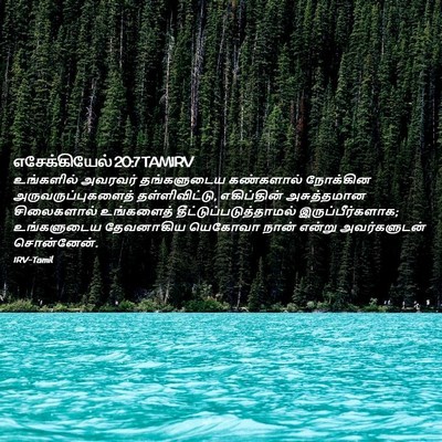 Picture 02 - எசேக்கியேல் 20:7 TAMIRV - உங்களில் அவரவர் - Bible Verse Picture