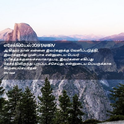 Picture 02 - எசேக்கியேல் 20:9 TAMIRV - ஆகிலும் நான் - Bible Verse Picture