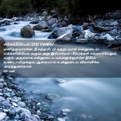 Picture 02 - எசேக்கியேல் 21:12 TAMIRV - மனிதகுமாரனே, நீ - Bible Verse Picture