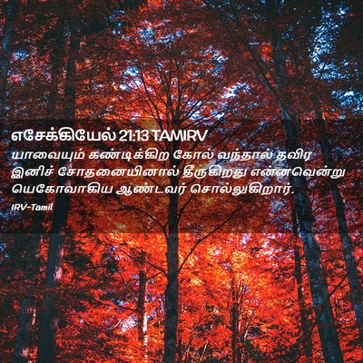 Picture 02 - எசேக்கியேல் 21:13 TAMIRV - யாவையும் - Bible Verse Picture