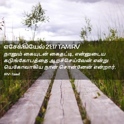 Picture 02 - எசேக்கியேல் 21:17 TAMIRV - நானும் கையுடன் - Bible Verse Picture