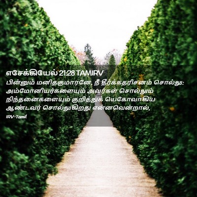 Picture 02 - எசேக்கியேல் 21:28 TAMIRV - பின்னும் - Bible Verse Picture