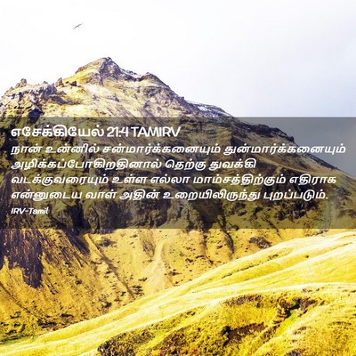 Picture 02 - எசேக்கியேல் 21:4 TAMIRV - நான் உன்னில் - Bible Verse Picture