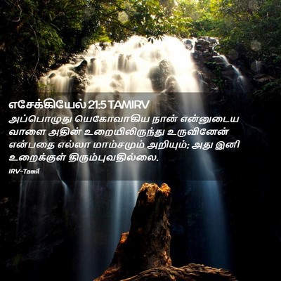 Picture 02 - எசேக்கியேல் 21:5 TAMIRV - அப்பொழுது - Bible Verse Picture
