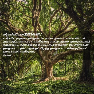 Picture 02 - எசேக்கியேல் 22:11 TAMIRV - உன்னில் ஒருவன் - Bible Verse Picture