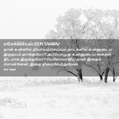 Picture 02 - எசேக்கியேல் 22:14 TAMIRV - நான் உன்னில் - Bible Verse Picture