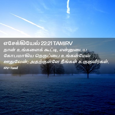 Picture 02 - எசேக்கியேல் 22:21 TAMIRV - நான் உங்களைக் - Bible Verse Picture
