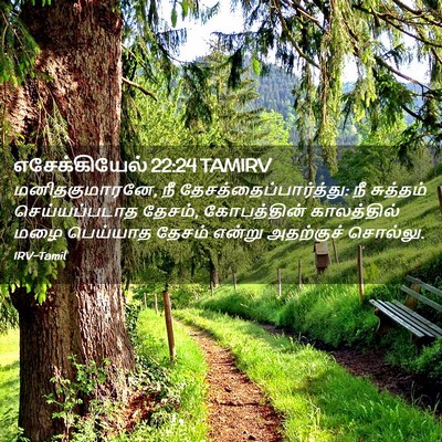 Picture 02 - எசேக்கியேல் 22:24 TAMIRV - மனிதகுமாரனே, நீ - Bible Verse Picture