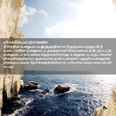 Picture 02 - எசேக்கியேல் 22:4 TAMIRV - நீ சிந்தின - Bible Verse Picture