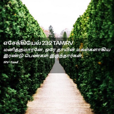 Picture 02 - எசேக்கியேல் 23:2 TAMIRV - மனிதகுமாரனே, ஒரே - Bible Verse Picture