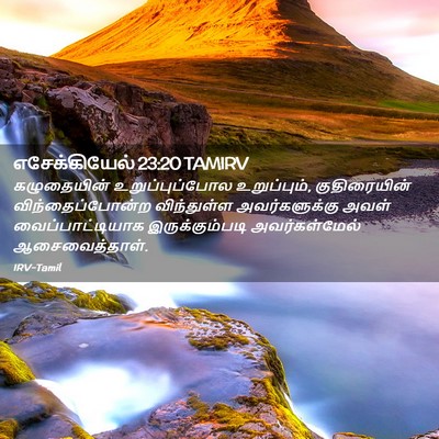 Picture 02 - எசேக்கியேல் 23:20 TAMIRV - கழுதையின் - Bible Verse Picture
