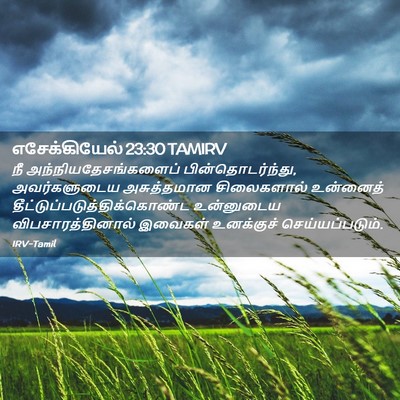 Picture 02 - எசேக்கியேல் 23:30 TAMIRV - நீ - Bible Verse Picture