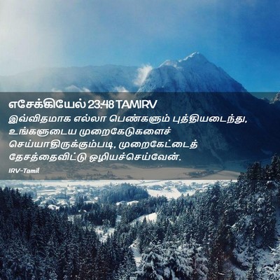 Picture 02 - எசேக்கியேல் 23:48 TAMIRV - இவ்விதமாக எல்லா - Bible Verse Picture