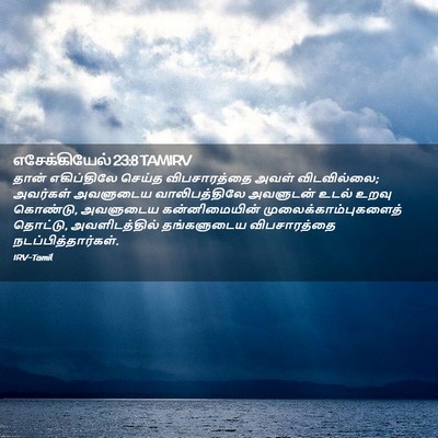 Picture 02 - எசேக்கியேல் 23:8 TAMIRV - தான் எகிப்திலே - Bible Verse Picture