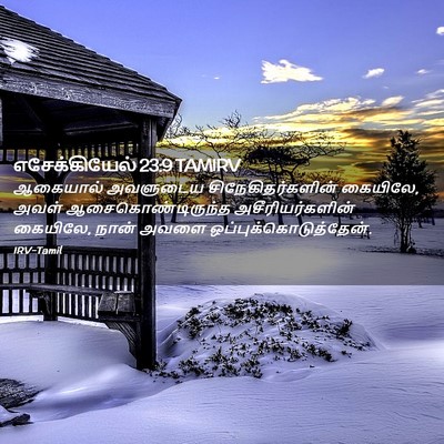 Picture 02 - எசேக்கியேல் 23:9 TAMIRV - ஆகையால் அவளுடைய - Bible Verse Picture
