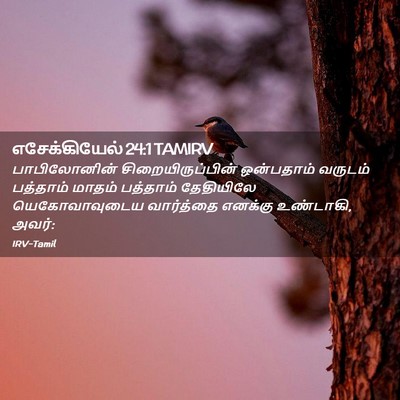 Picture 02 - எசேக்கியேல் 24:1 TAMIRV - பாபிலோனின் - Bible Verse Picture