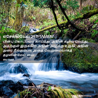 Picture 02 - எசேக்கியேல் 24:11 TAMIRV - பின்பு கொப்பரை - Bible Verse Picture