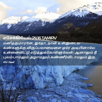 Picture 02 - எசேக்கியேல் 24:16 TAMIRV - மனிதகுமாரனே, இதோ, - Bible Verse Picture