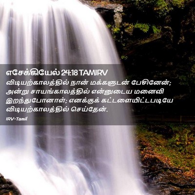 Picture 02 - எசேக்கியேல் 24:18 TAMIRV - விடியற்காலத்தில் - Bible Verse Picture