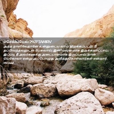 Picture 02 - எசேக்கியேல் 24:27 TAMIRV - அந்த நாளிலேதானே - Bible Verse Picture