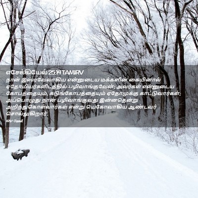 Picture 02 - எசேக்கியேல் 25:14 TAMIRV - நான் இஸ்ரவேலாகிய - Bible Verse Picture