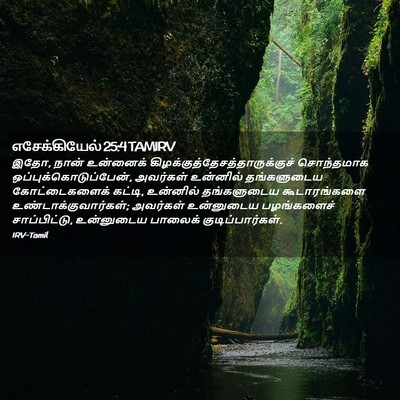 Picture 02 - எசேக்கியேல் 25:4 TAMIRV - இதோ, நான் உன்னைக் - Bible Verse Picture