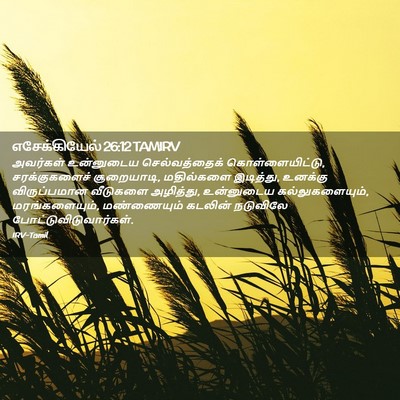 Picture 02 - எசேக்கியேல் 26:12 TAMIRV - அவர்கள் உன்னுடைய - Bible Verse Picture