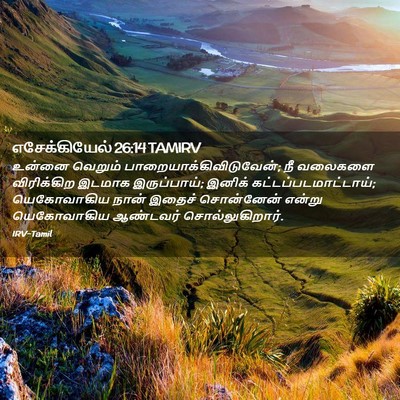 Picture 02 - எசேக்கியேல் 26:14 TAMIRV - உன்னை வெறும் - Bible Verse Picture
