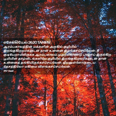 Picture 02 - எசேக்கியேல் 26:20 TAMIRV - ஆரம்பகாலத்தின் - Bible Verse Picture