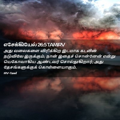 Picture 02 - எசேக்கியேல் 26:5 TAMIRV - அது வலைகளை - Bible Verse Picture