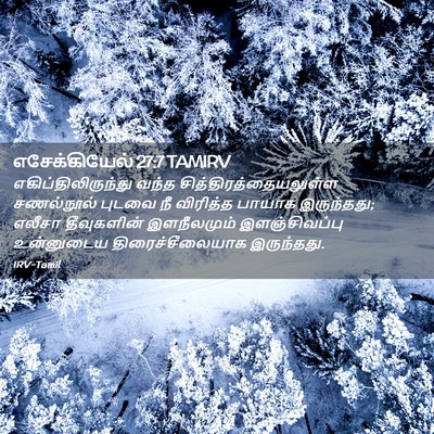 Picture 02 - எசேக்கியேல் 27:7 TAMIRV - எகிப்திலிருந்து - Bible Verse Picture