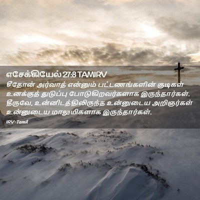 Picture 02 - எசேக்கியேல் 27:8 TAMIRV - சீதோன் அர்வாத் - Bible Verse Picture