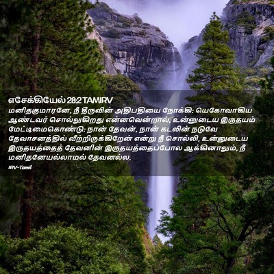Picture 02 - எசேக்கியேல் 28:2 TAMIRV - மனிதகுமாரனே, நீ - Bible Verse Picture