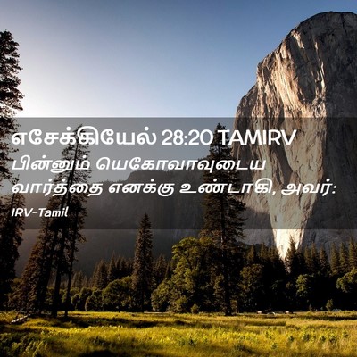 Picture 02 - எசேக்கியேல் 28:20 TAMIRV - பின்னும் - Bible Verse Picture