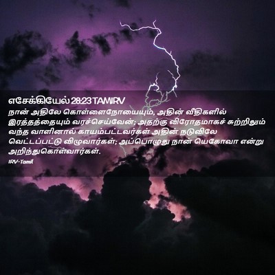Picture 02 - எசேக்கியேல் 28:23 TAMIRV - நான் அதிலே - Bible Verse Picture