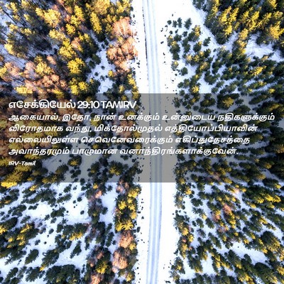 Picture 02 - எசேக்கியேல் 29:10 TAMIRV - ஆகையால், இதோ, நான் - Bible Verse Picture