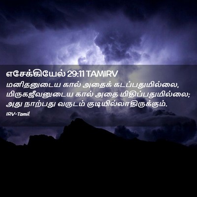 Picture 02 - எசேக்கியேல் 29:11 TAMIRV - மனிதனுடைய கால் - Bible Verse Picture