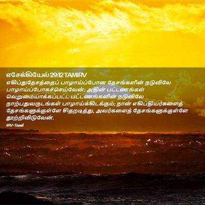Picture 02 - எசேக்கியேல் 29:12 TAMIRV - எகிப்துதேசத்தைப் - Bible Verse Picture