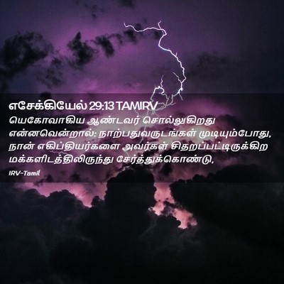 Picture 02 - எசேக்கியேல் 29:13 TAMIRV - யெகோவாகிய ஆண்டவர் - Bible Verse Picture