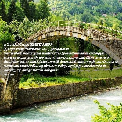 Picture 02 - எசேக்கியேல் 29:16 TAMIRV - அவர்களின் - Bible Verse Picture