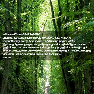 Picture 02 - எசேக்கியேல் 29:19 TAMIRV - ஆகையால் யெகோவாகிய - Bible Verse Picture