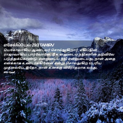 Picture 02 - எசேக்கியேல் 29:3 TAMIRV - யெகோவாகிய ஆண்டவர் - Bible Verse Picture