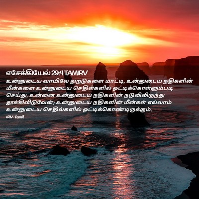 Picture 02 - எசேக்கியேல் 29:4 TAMIRV - உன்னுடைய வாயிலே - Bible Verse Picture
